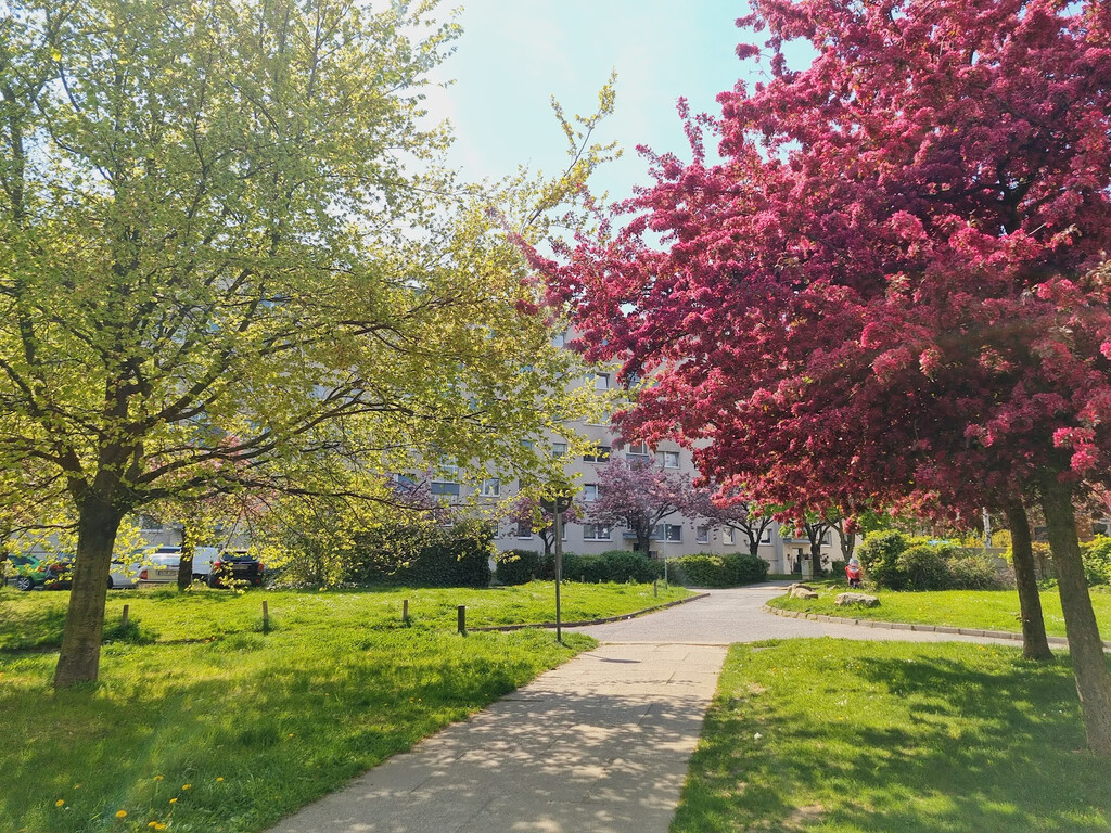 Herzogswalder Straße 23, 01169 Dresden