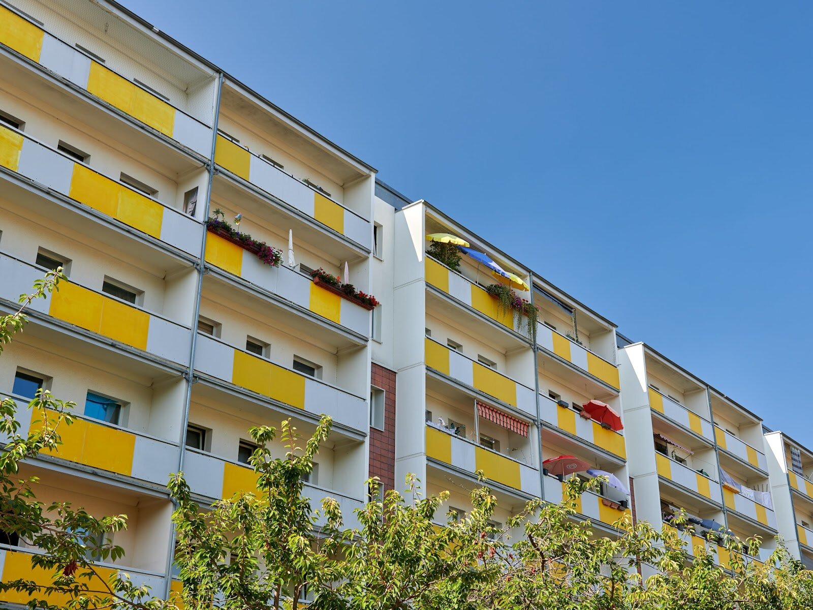 Herzogswalder Straße 18, 01169 Dresden
