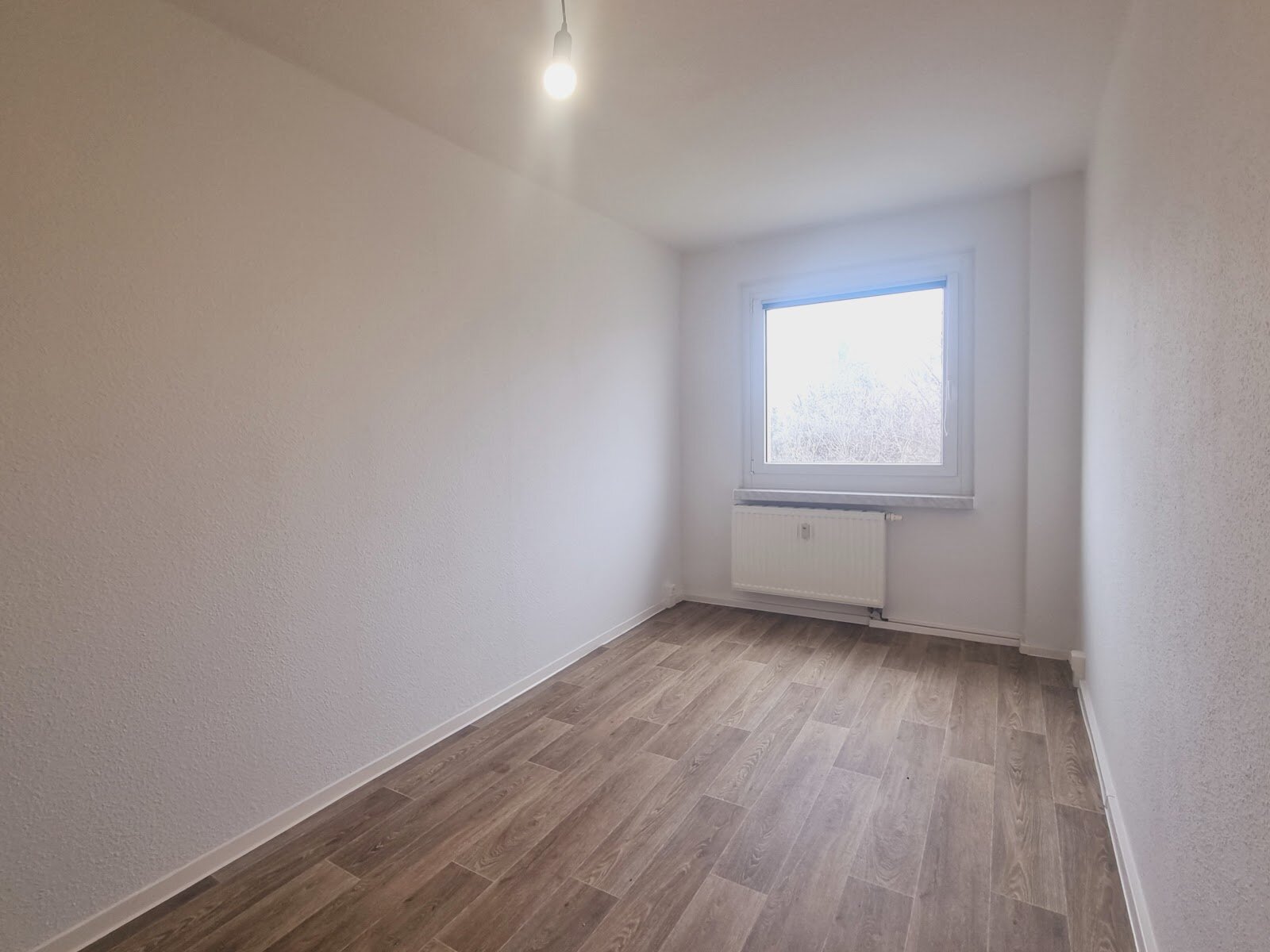 Hagebuttenweg 1, 01169 Dresden