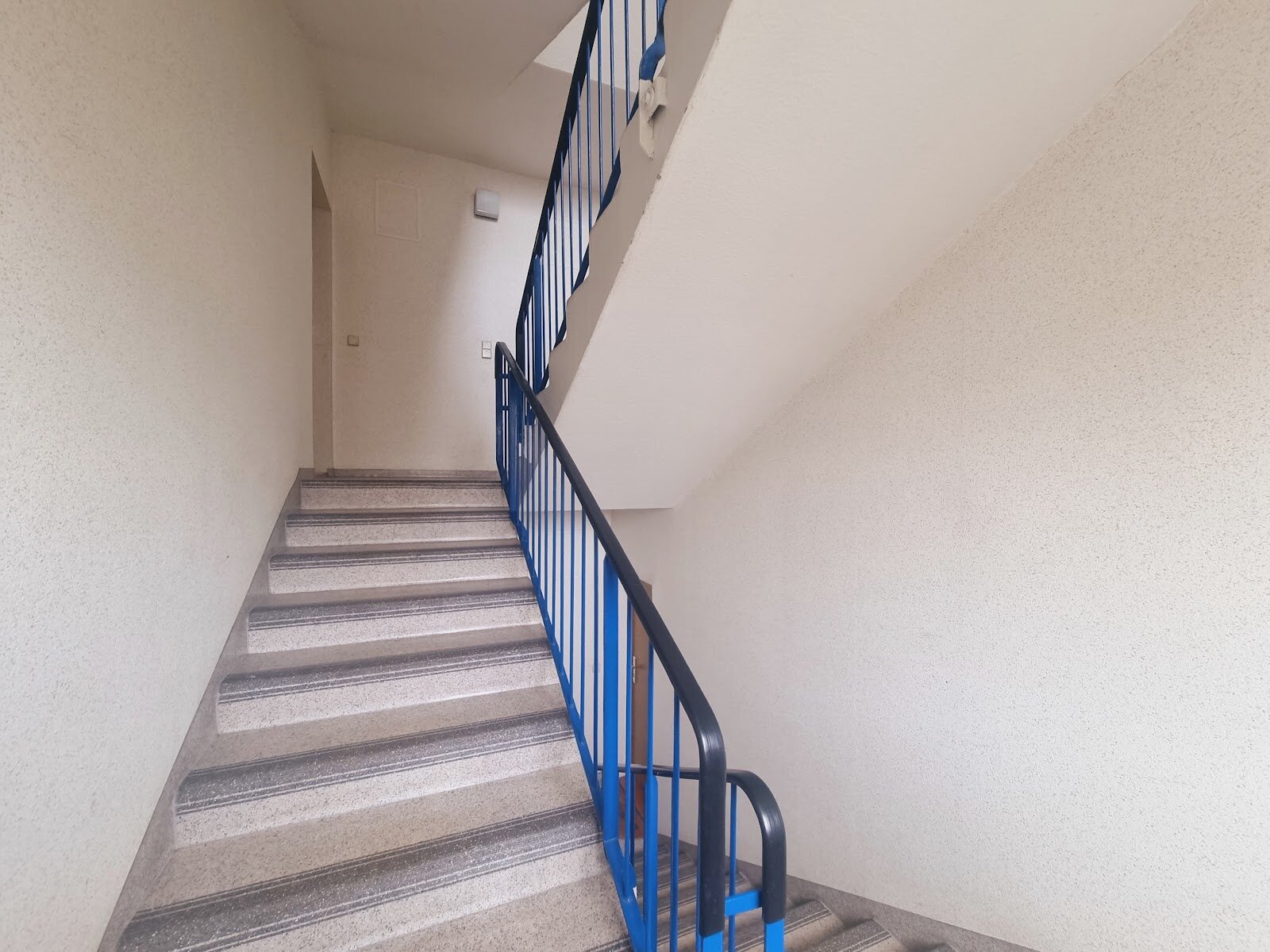 Hagebuttenweg 1, 01169 Dresden