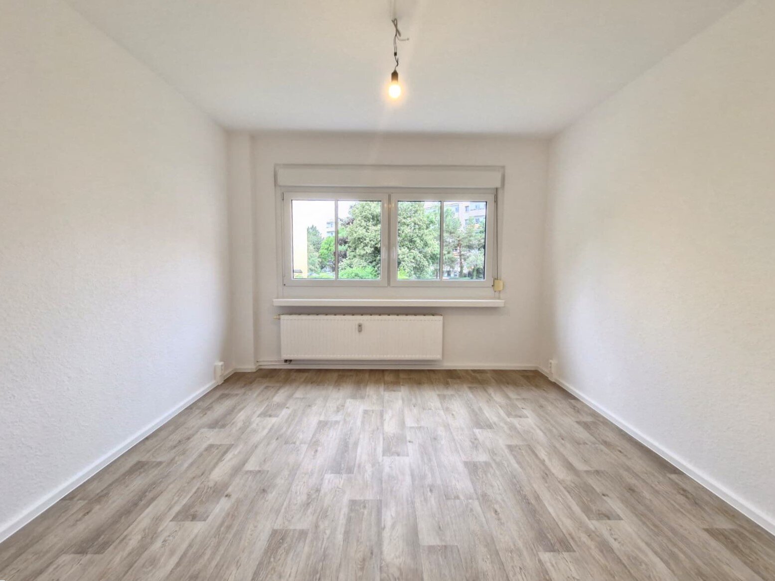 Harthaer Straße 34, 01169 Dresden