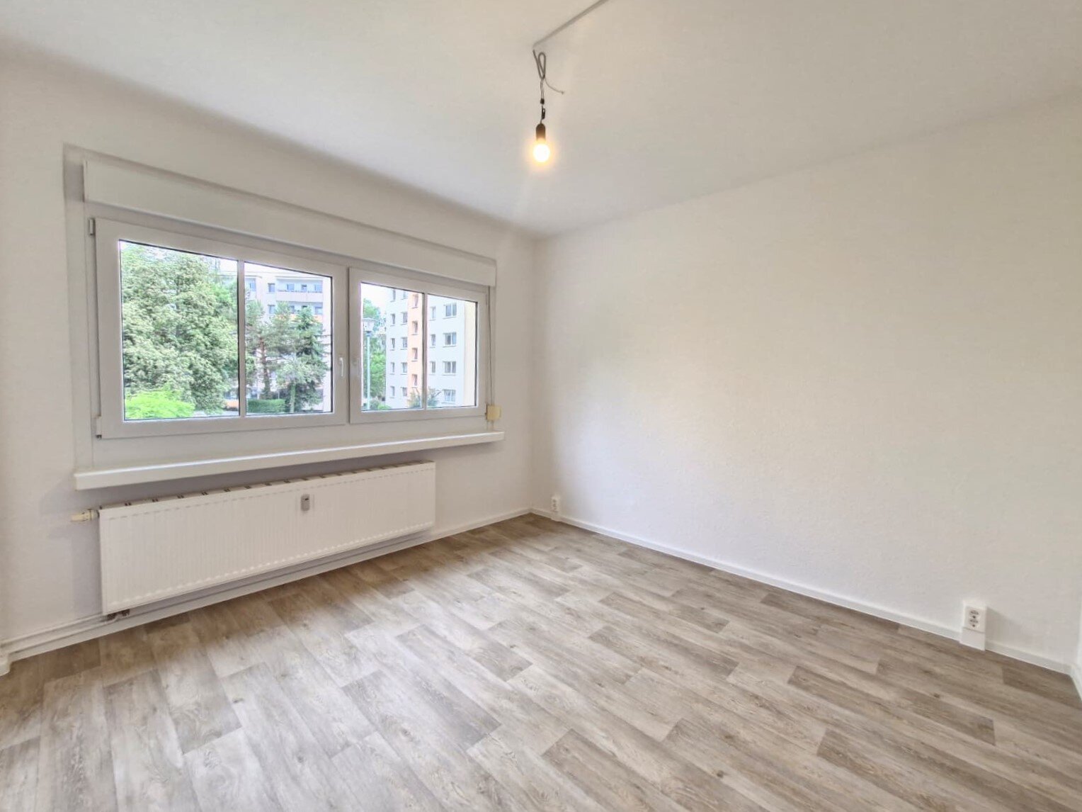 Harthaer Straße 34, 01169 Dresden