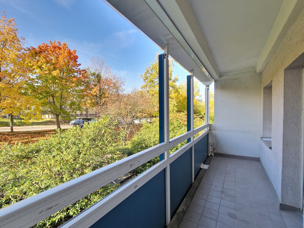 Harthaer Straße 34, 01169 Dresden