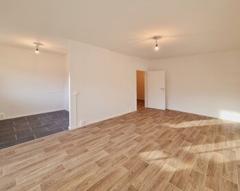Harthaer Straße 38, 01169 Dresden