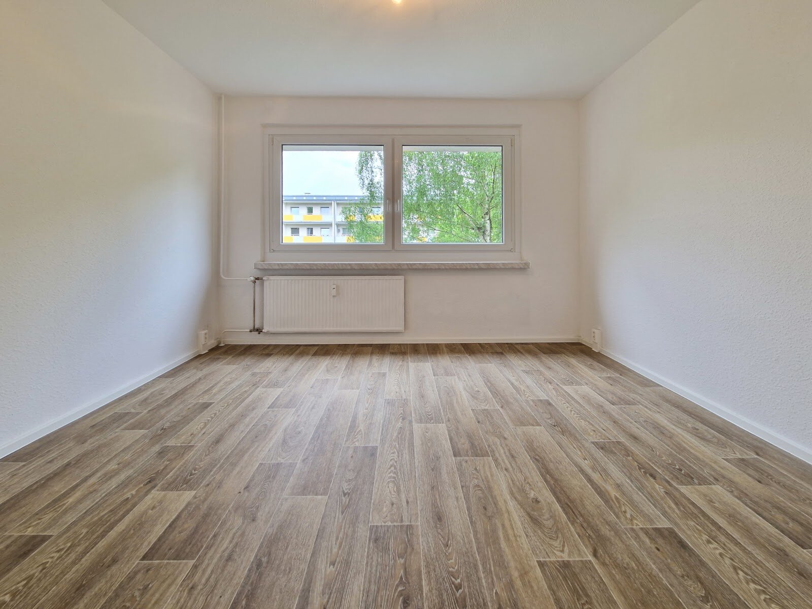 Harthaer Straße 38, 01169 Dresden