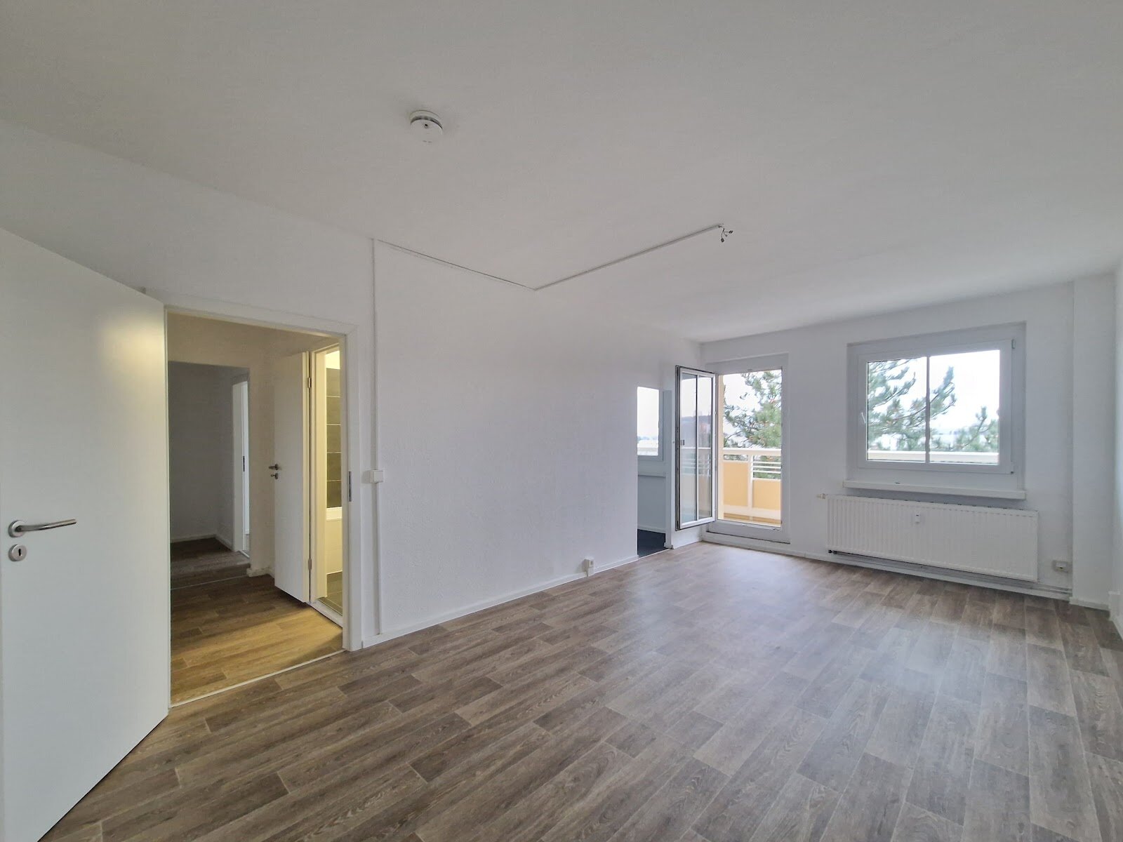 Harthaer Straße 38, 01169 Dresden