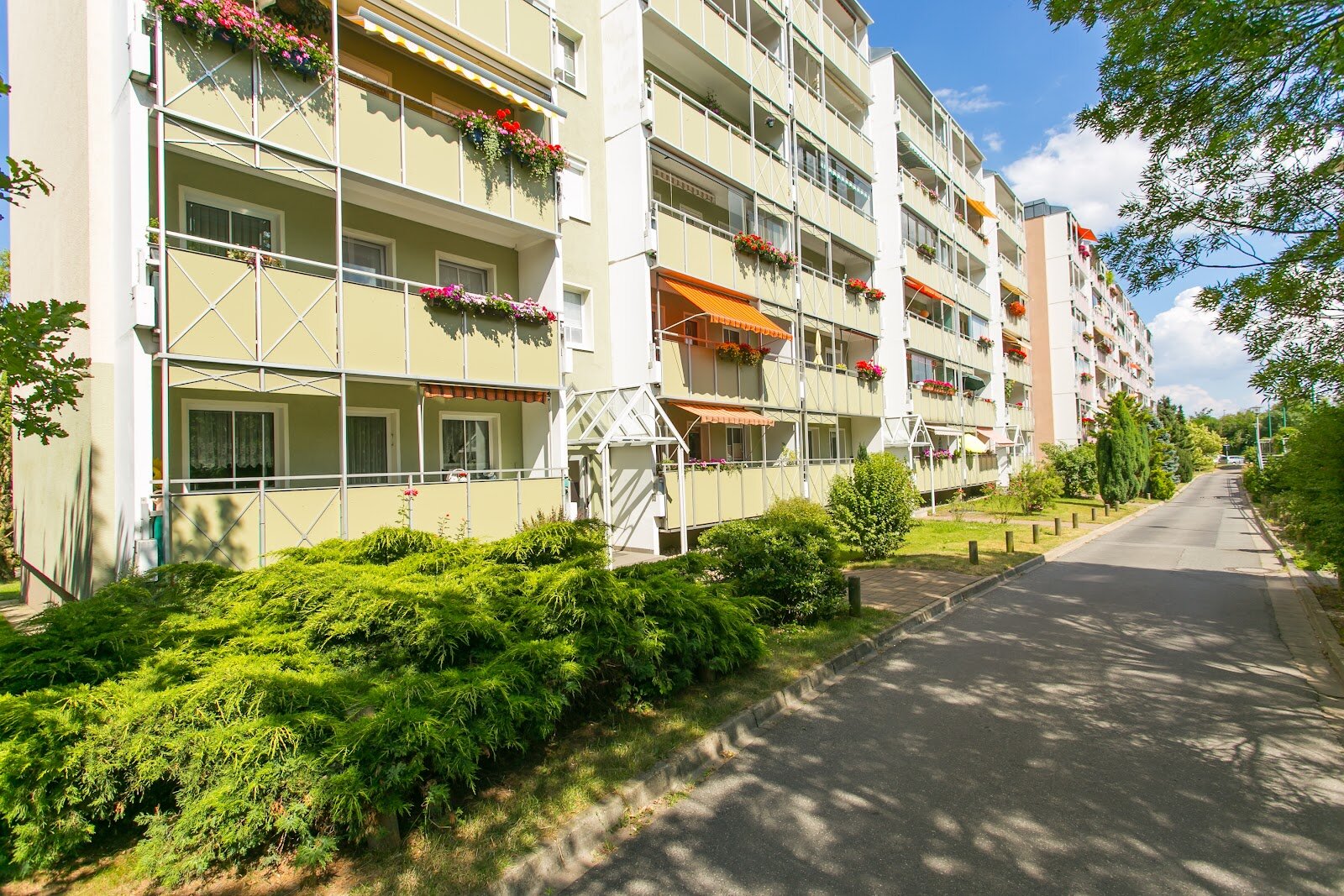 Reuningstraße 11, 01169 Dresden