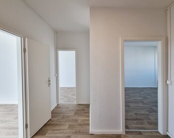 Reuningstraße 5, 01169 Dresden