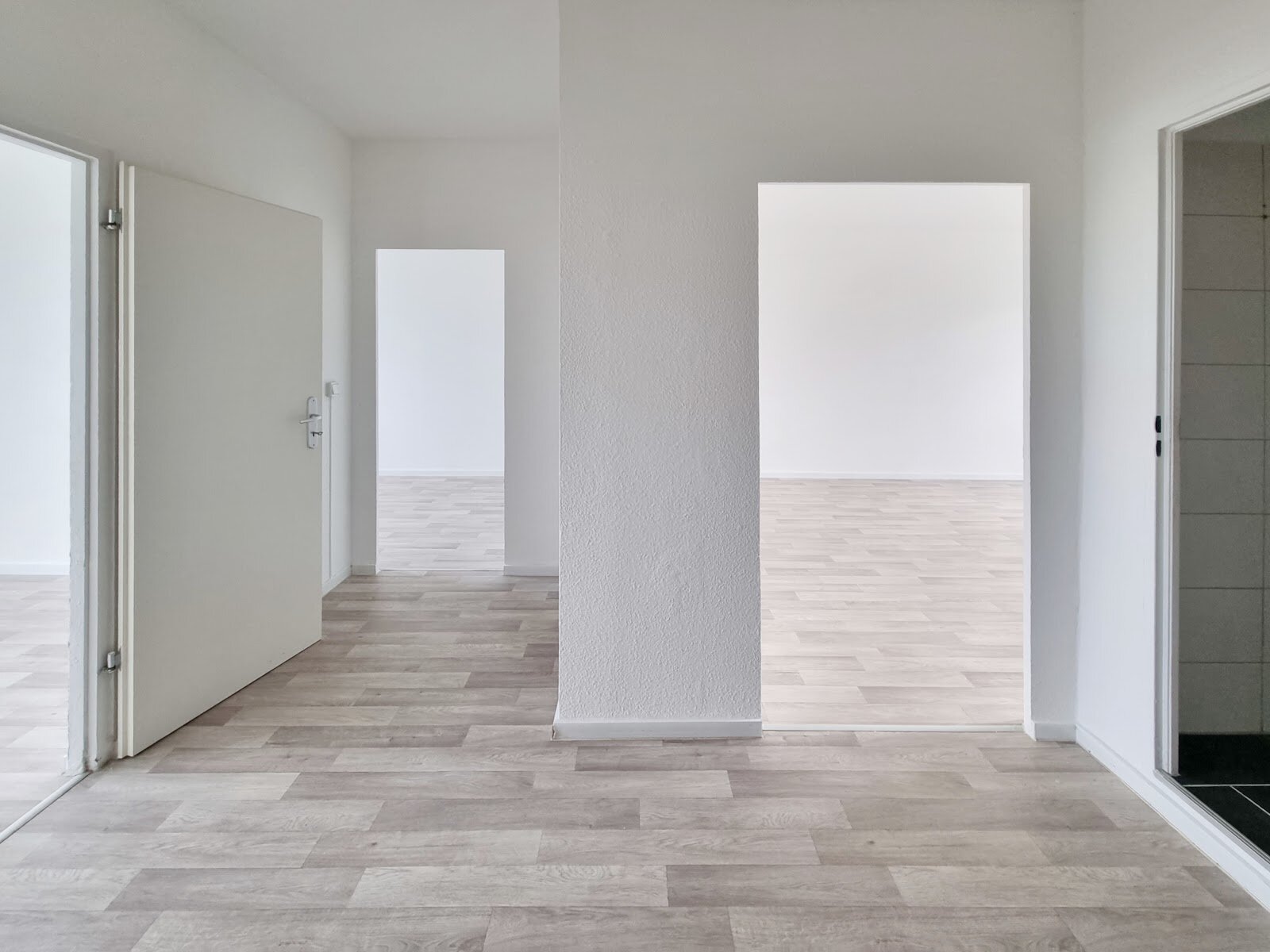 Robinienstraße 13, 01169 Dresden