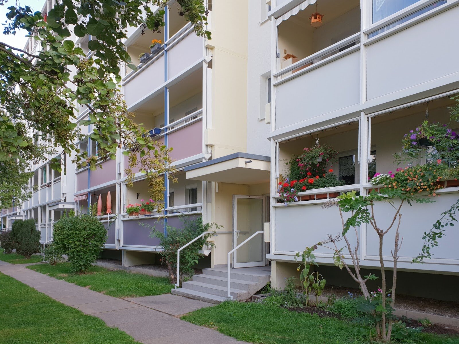 Robinienstraße 13, 01169 Dresden
