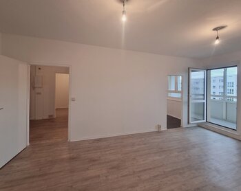 Robinienstraße 13, 01169 Dresden