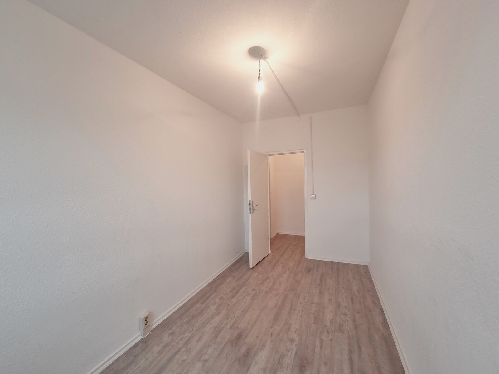Robinienstraße 13, 01169 Dresden