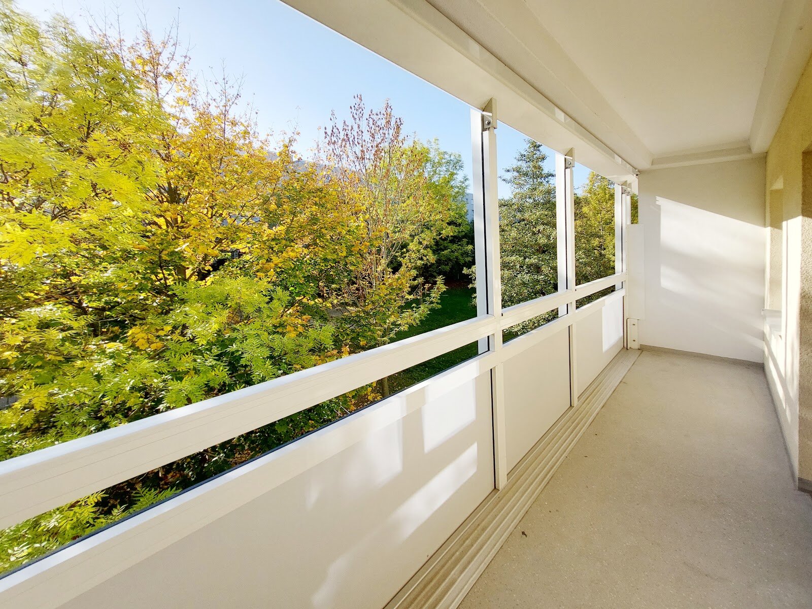 Robinienstraße 5, 01169 Dresden