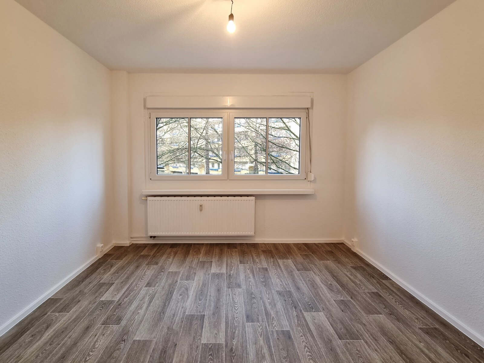 Robinienstraße 5, 01169 Dresden