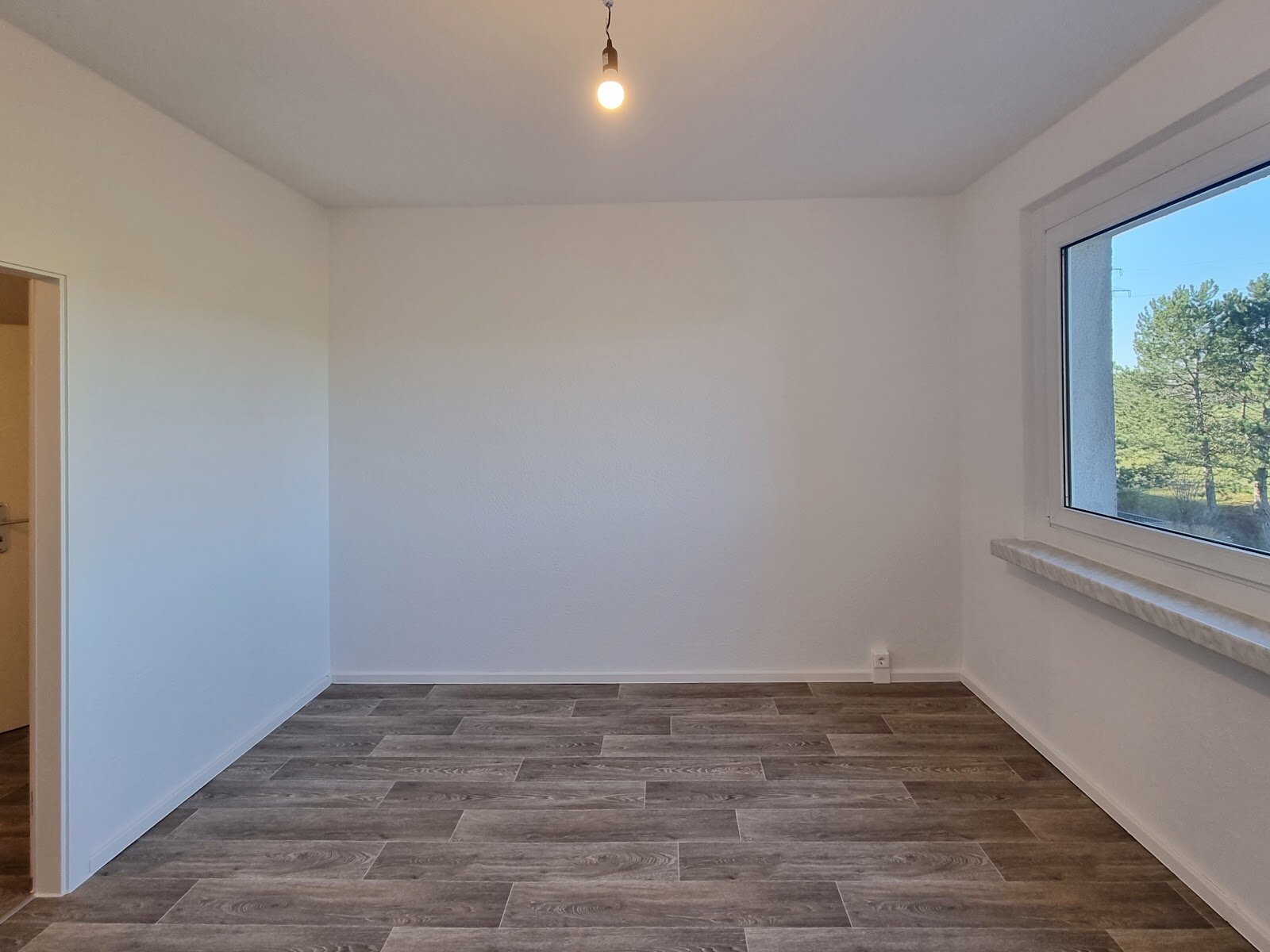 Robinienstraße 14, 01169 Dresden