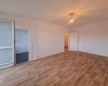 Robinienstraße 20, 01169 Dresden