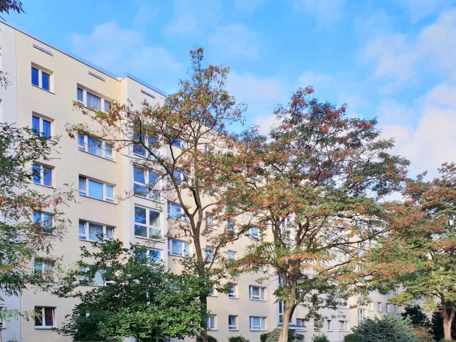 Robinienstraße 20, 01169 Dresden