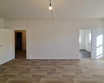 Robinienstraße 22, 01169 Dresden