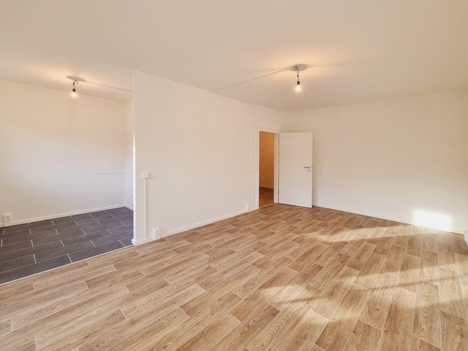 Robinienstraße 24, 01169 Dresden