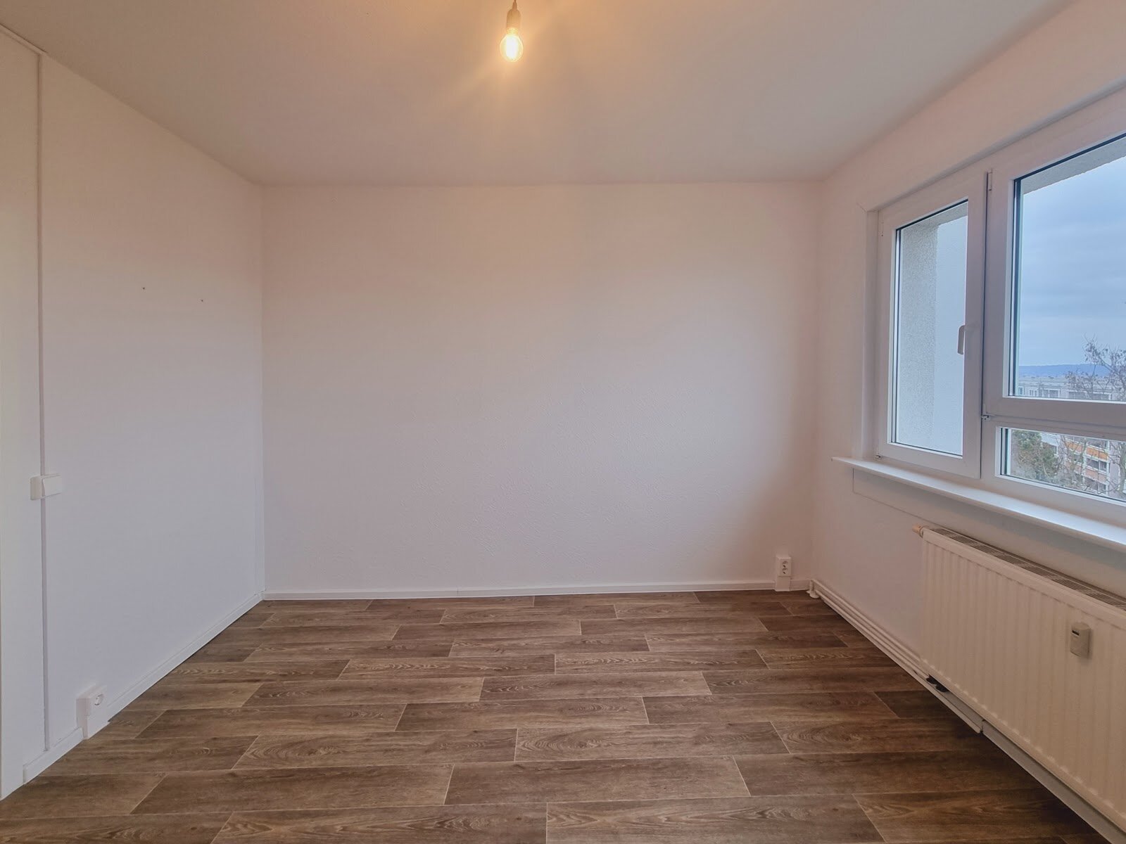 Robinienstraße 8, 01169 Dresden