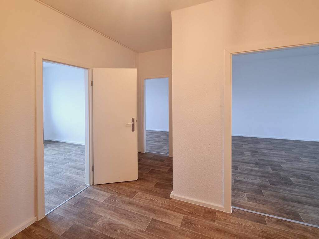 Robinienstraße 8, 01169 Dresden