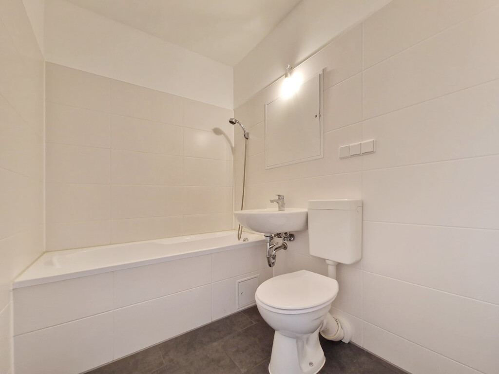 Albert-Köhler-Straße 13, 09122 Chemnitz