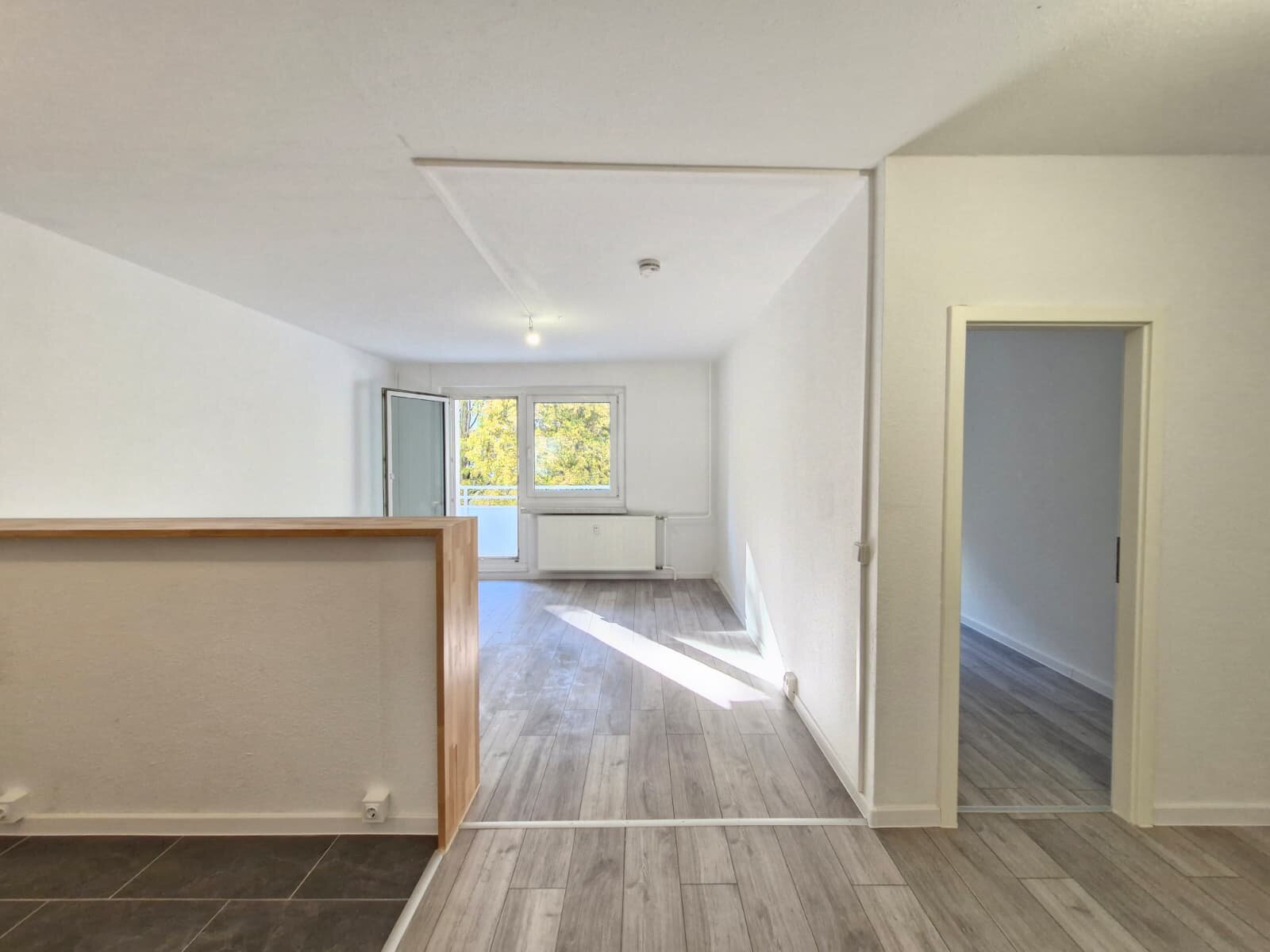 Albert-Köhler-Straße 13, 09122 Chemnitz