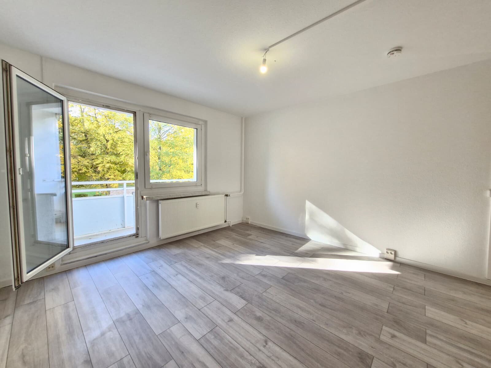 Albert-Köhler-Straße 13, 09122 Chemnitz