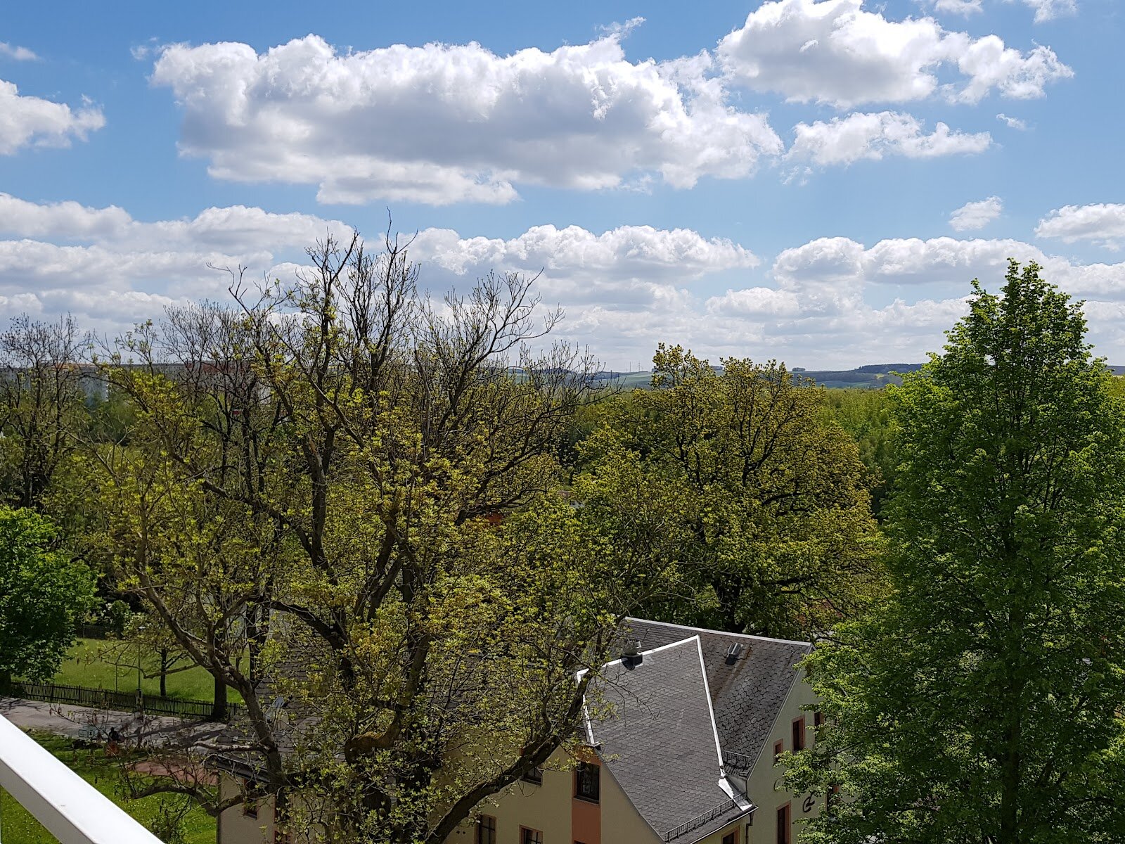 Albert-Köhler-Straße 15, 09122 Chemnitz