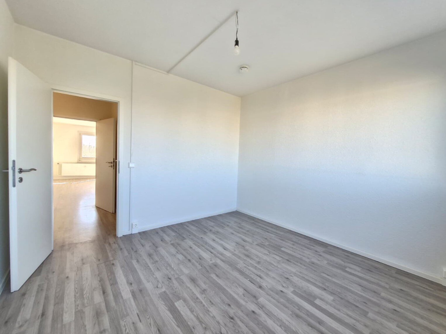 Albert-Köhler-Straße 21, 09122 Chemnitz