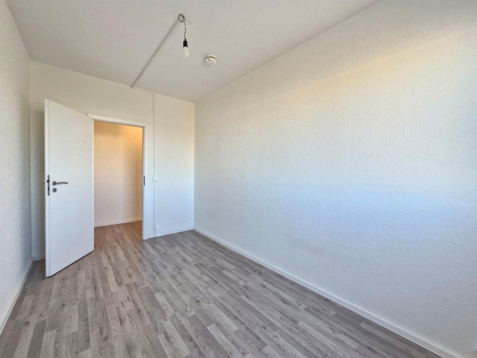 Albert-Köhler-Straße 21, 09122 Chemnitz