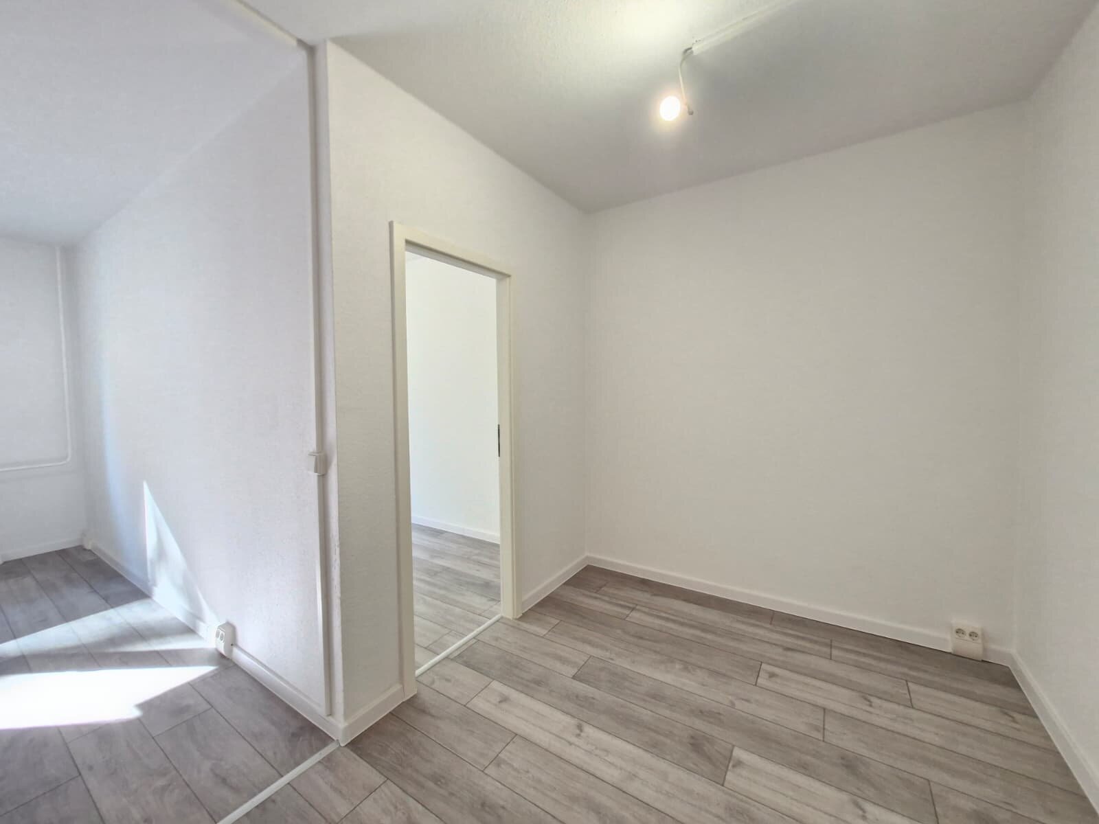 Albert-Köhler-Straße 7, 09122 Chemnitz