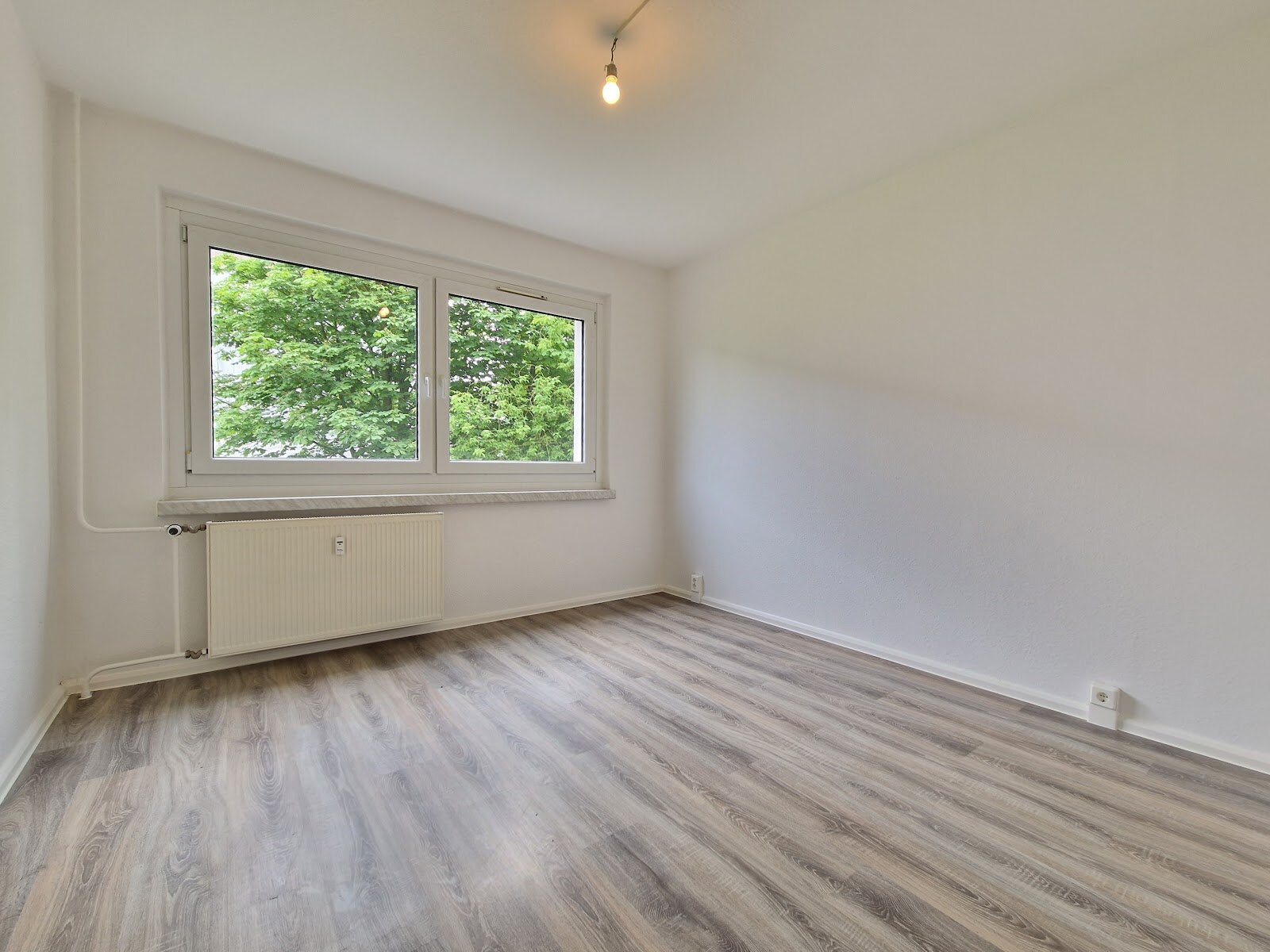 Albert-Köhler-Straße 12, 09122 Chemnitz