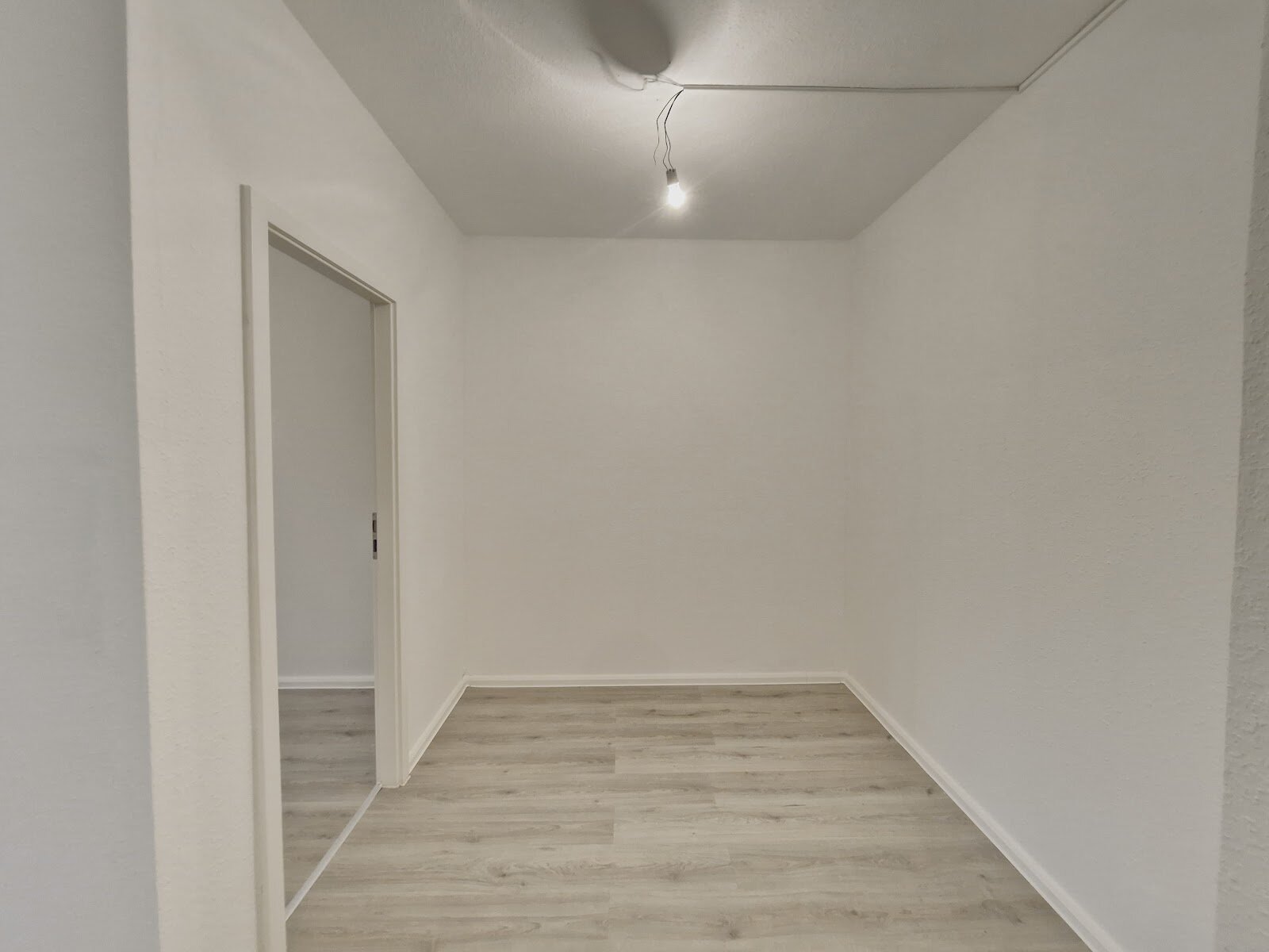 Albert-Köhler-Straße 14, 09122 Chemnitz