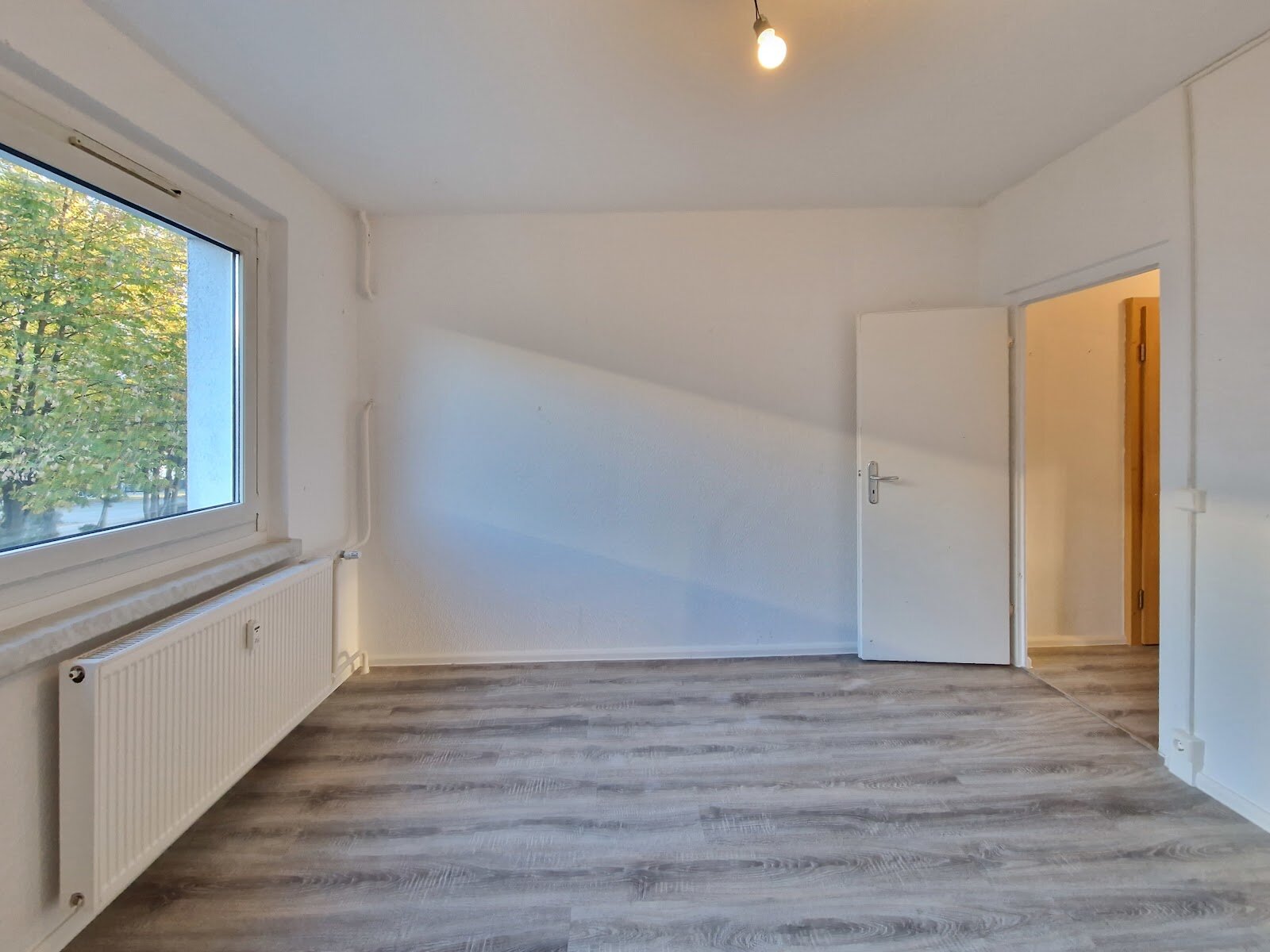 Albert-Köhler-Straße 18, 09122 Chemnitz