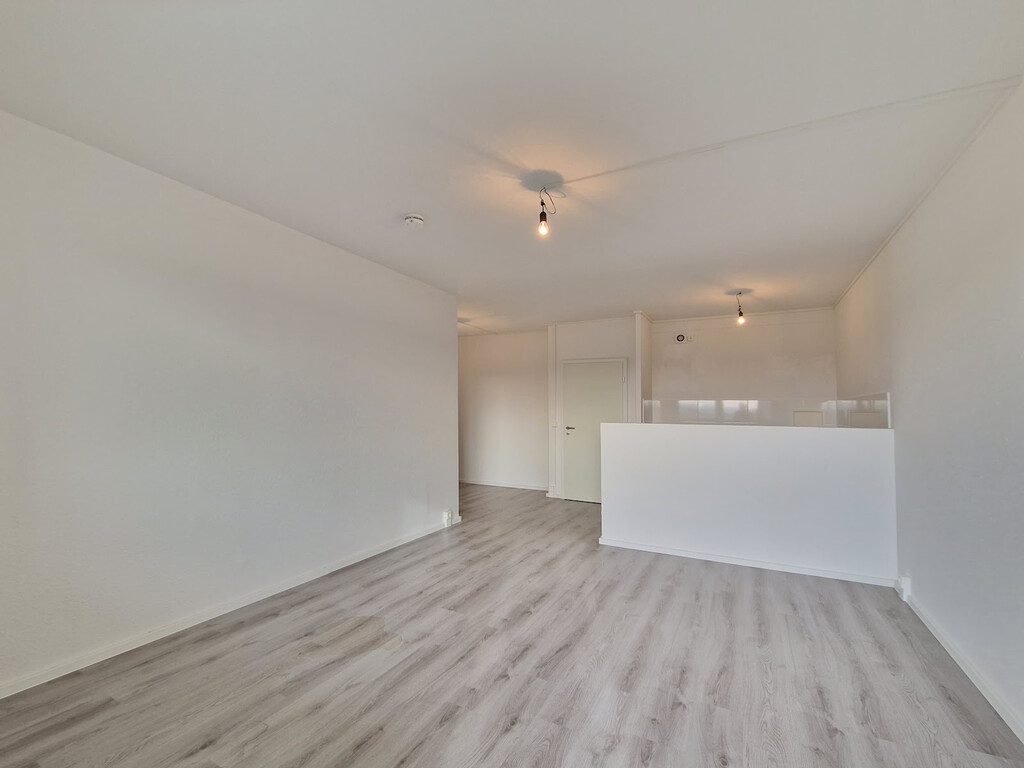 Albert-Köhler-Straße 73, 09122 Chemnitz
