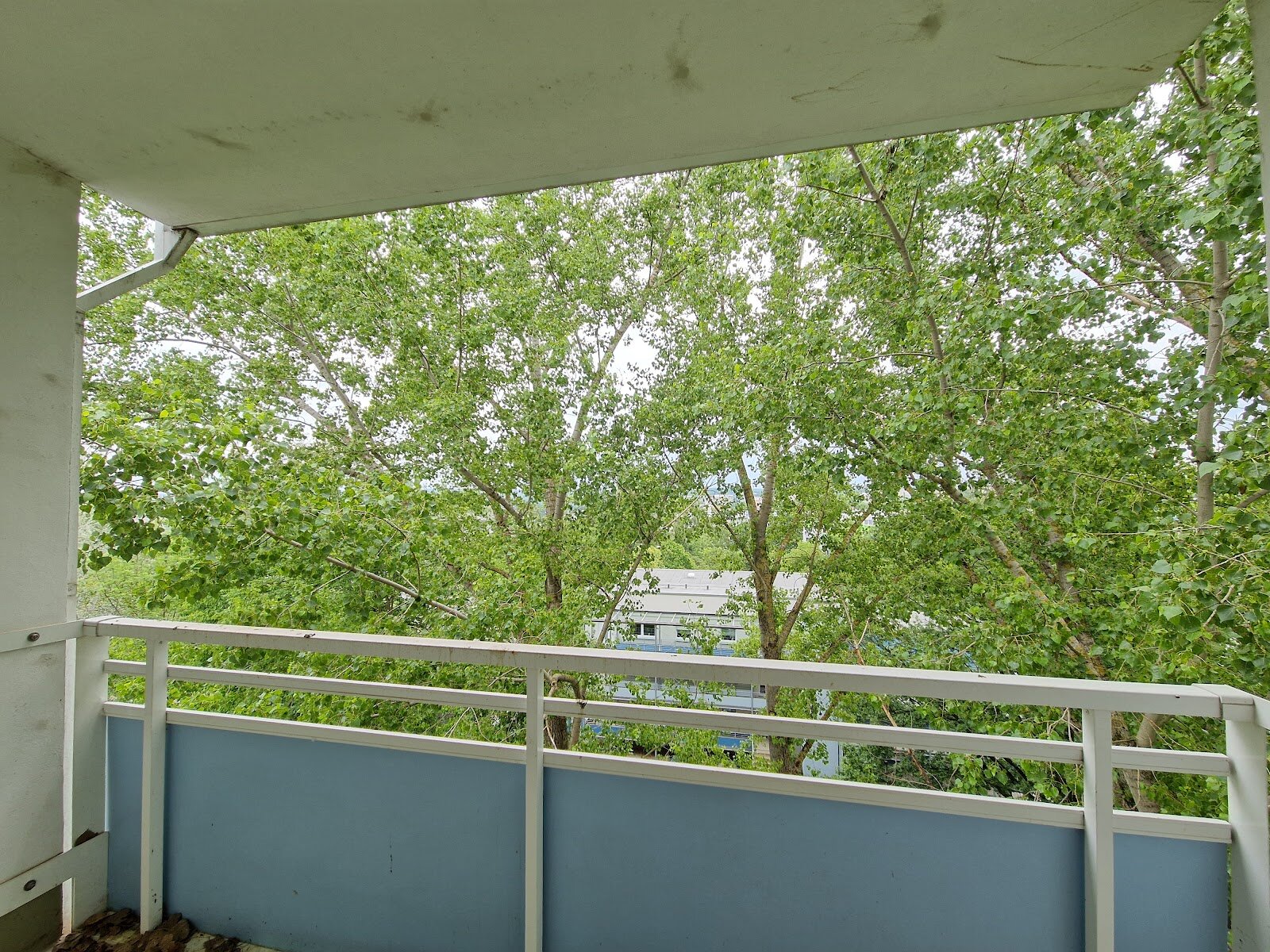 Albert-Köhler-Straße 79, 09122 Chemnitz