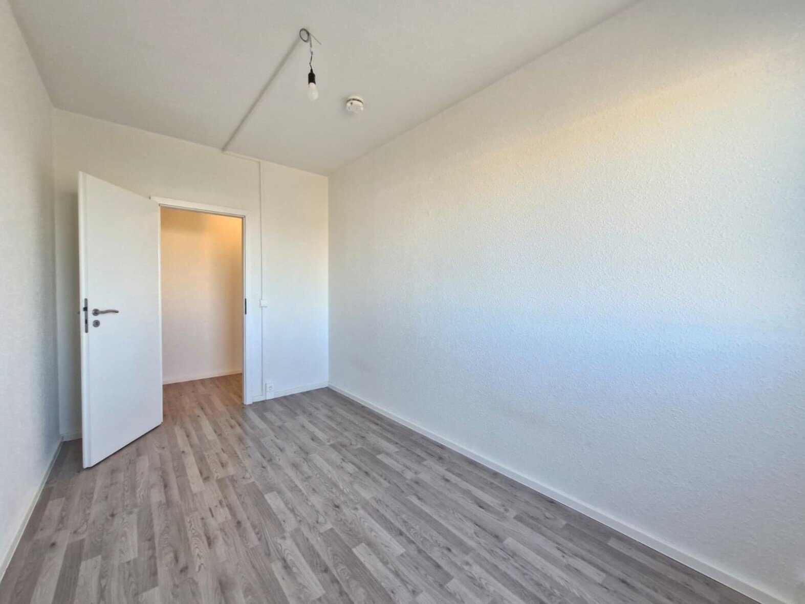 Albert-Köhler-Straße 79, 09122 Chemnitz