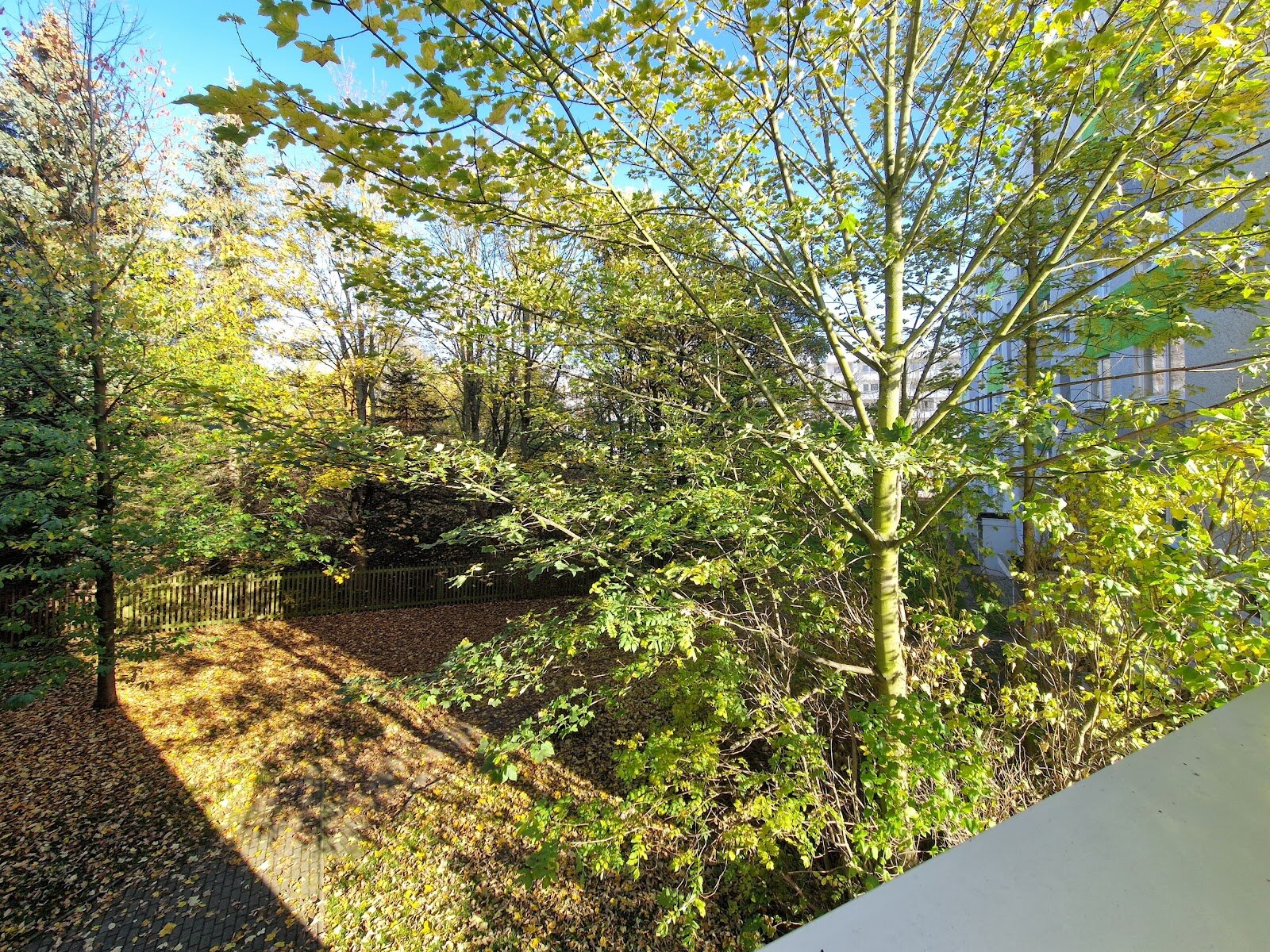 Albert-Köhler-Straße 83, 09122 Chemnitz