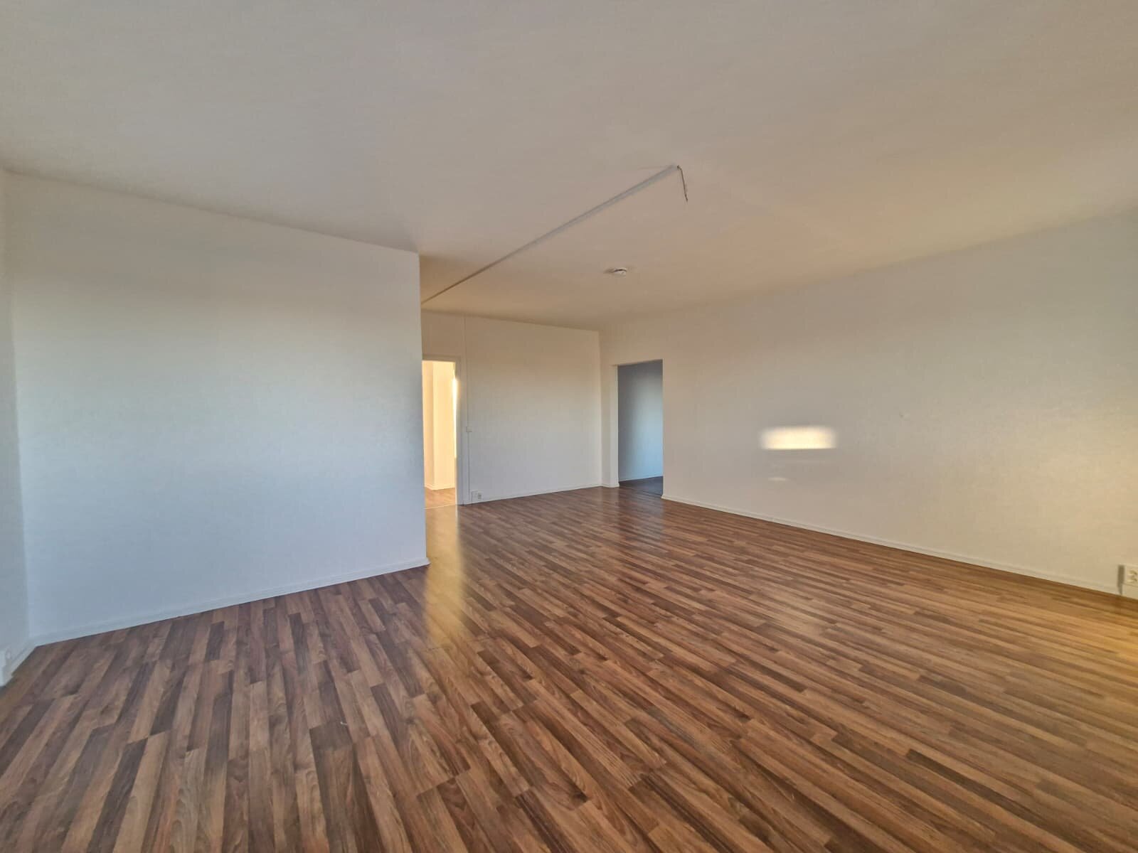 Albert-Köhler-Straße 87, 09122 Chemnitz