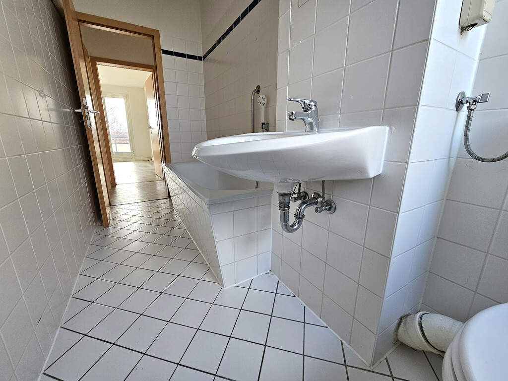 Straße der Befreiung 7, 06128 Halle (Saale)