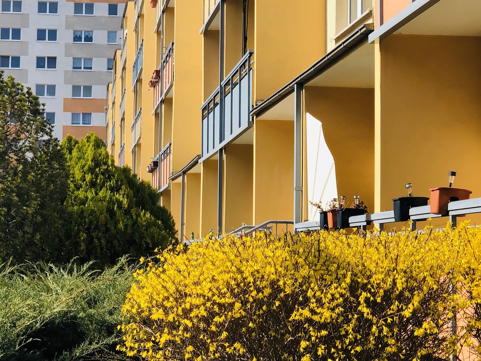 Rigaer Straße 16, 06128 Halle (Saale)