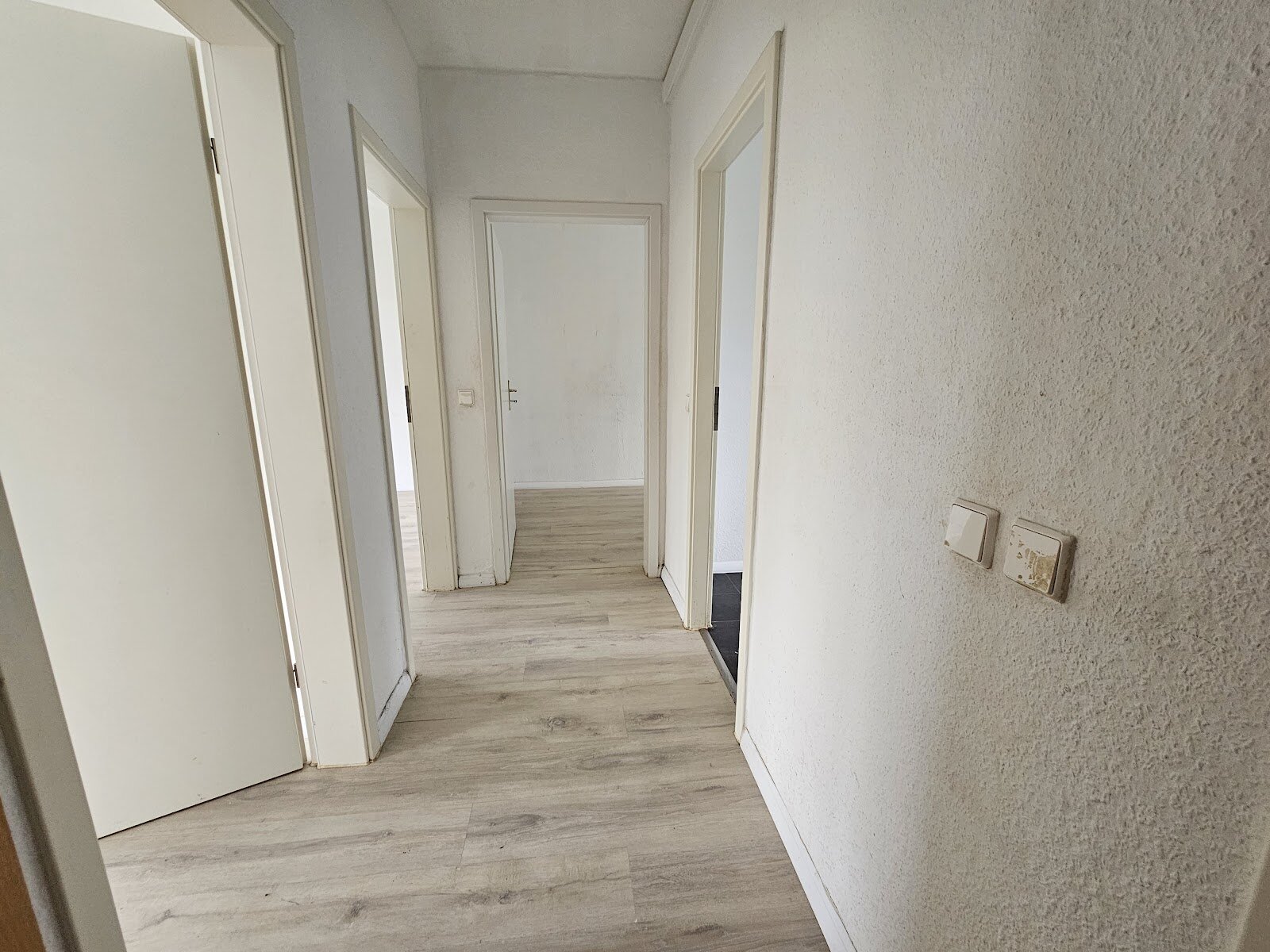 Südstadtring 75, 06128 Halle (Saale)