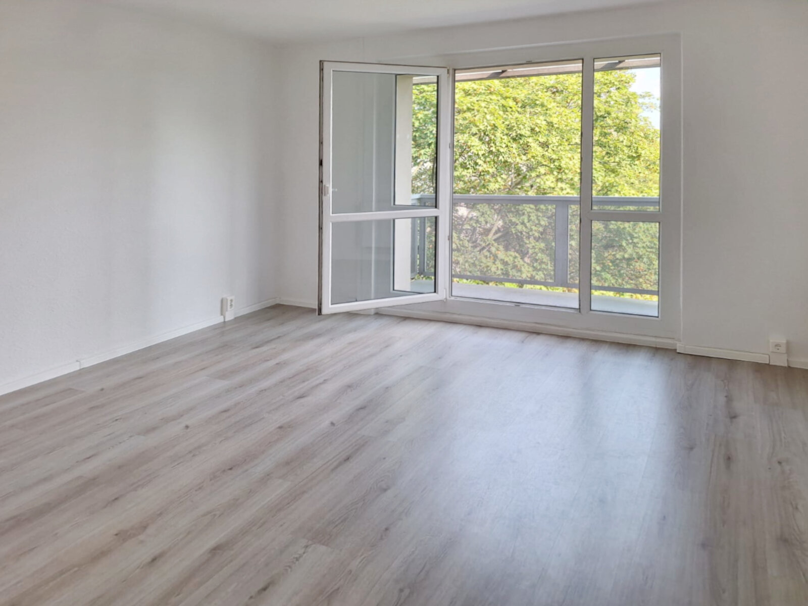 Spenerstraße 31, 01309 Dresden