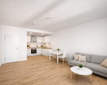 Trachenberger Straße 46, 01129 Dresden