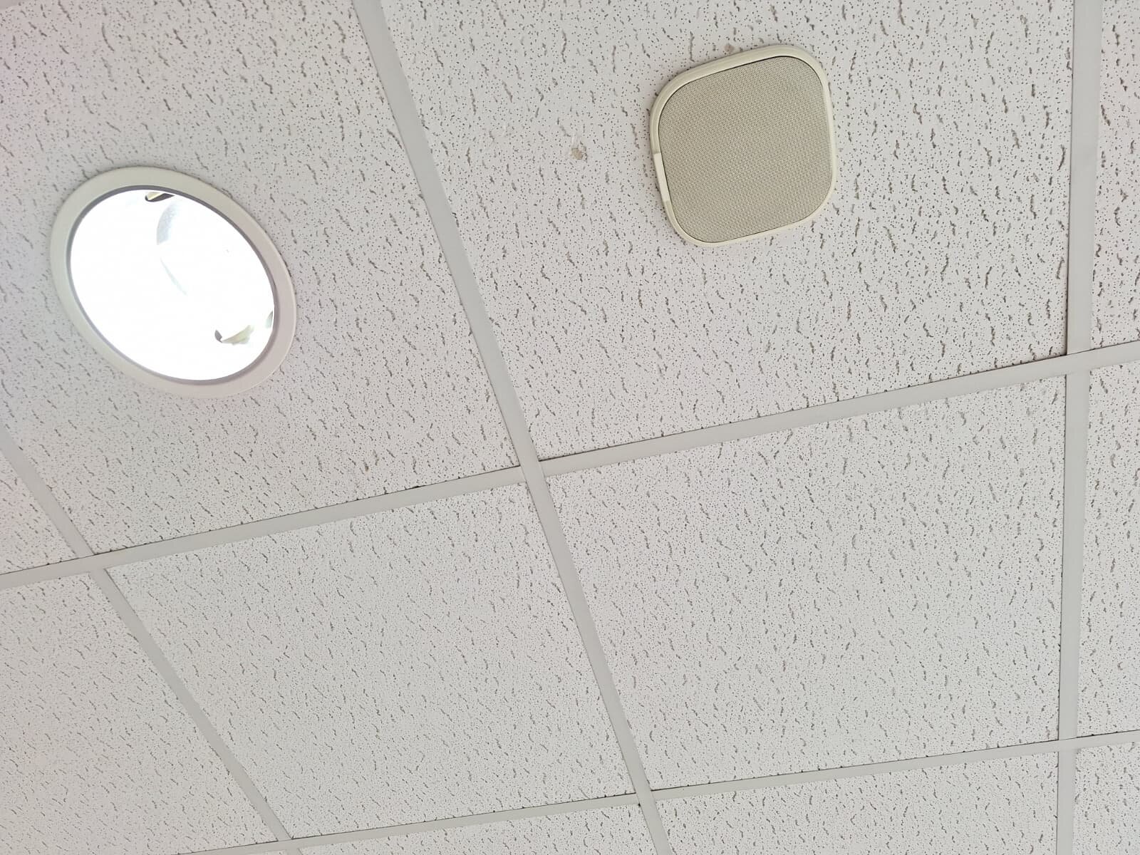 Bergstraße 33, 99092 Erfurt