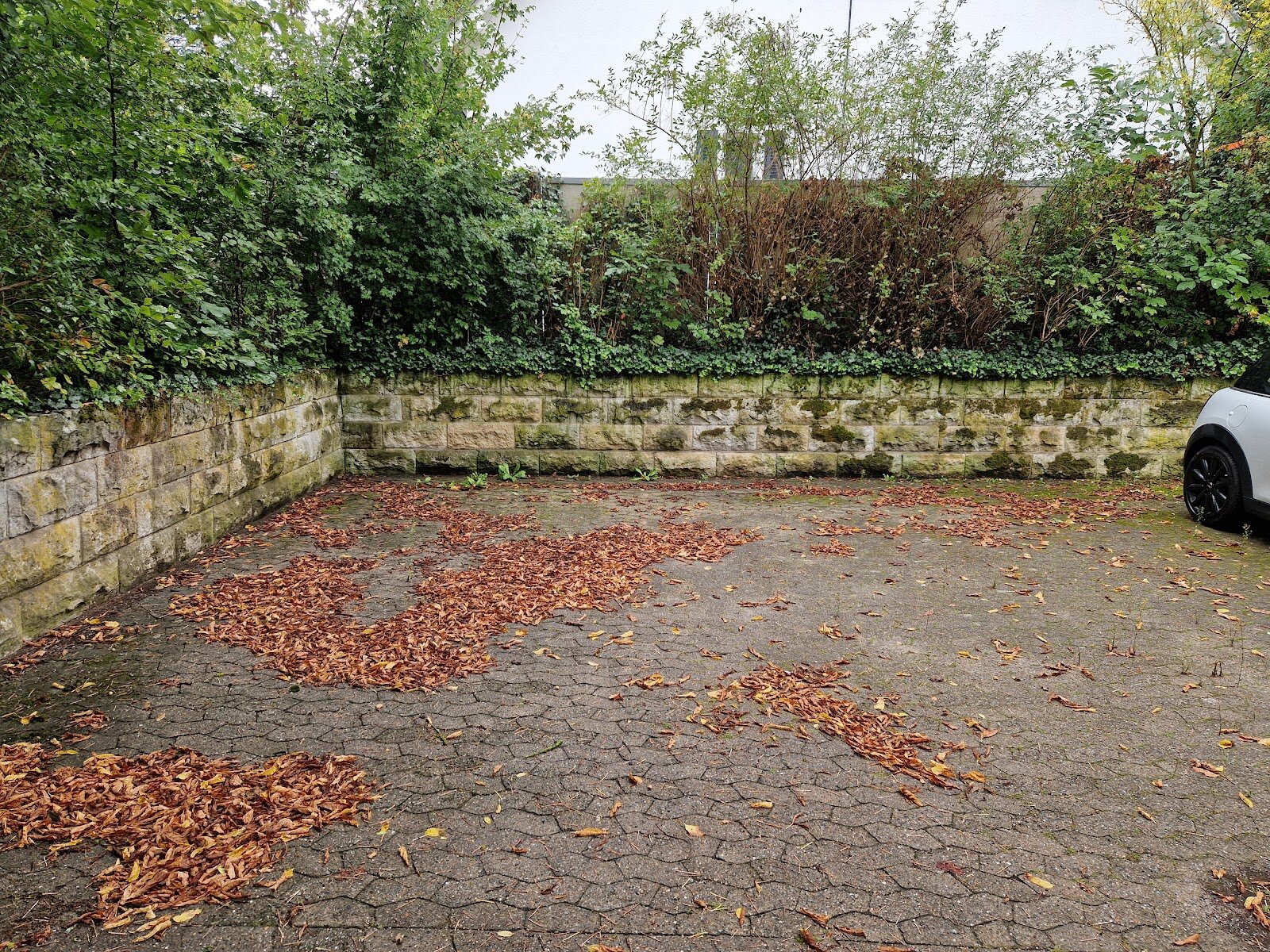 Menzelstraße 1, 14193 Berlin