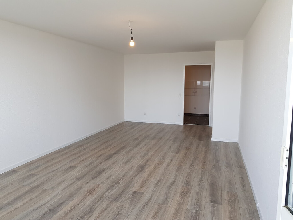 Römerstraße 11, 77933 Lahr/Schwarzwald