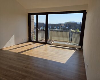 Villichgasse 2, 53177 Bonn