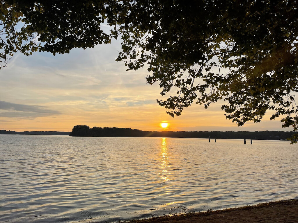 Alt-Tegel 44, 13507 Berlin